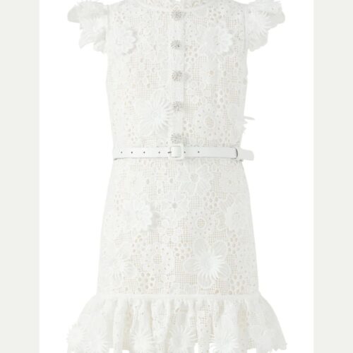 Lucinda Embroidered Mini Dress
