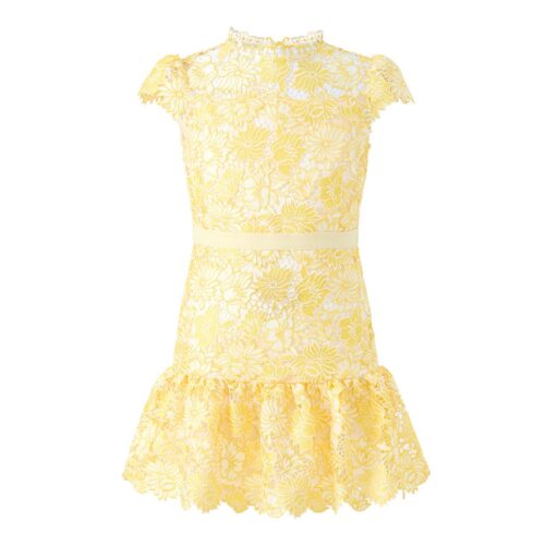 Cassandra Embroidered Mini Dress