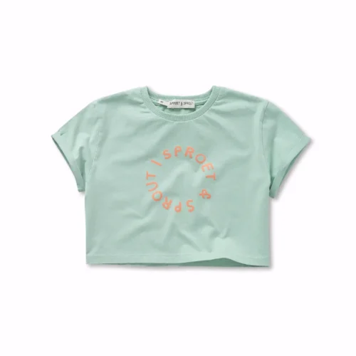 Boxy T-shirt Sproet Silt green primary – Togs Moments +Post Title + Separator + Category + Separator + Site Title